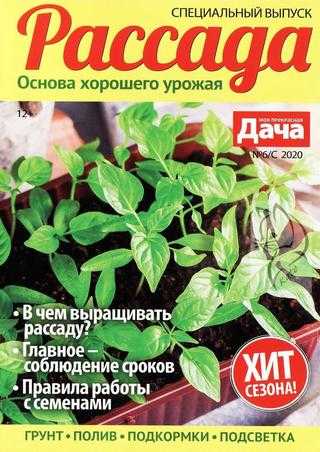 Моя прекрасная дача Спецвыпуск №6 февраль 2020