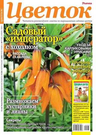 Цветок №7 апрель 2020