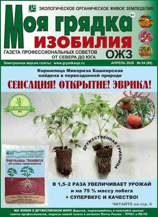 Моя грядка изобилия №4 апрель 2020