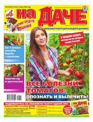 Аиф На даче №10 май-июнь 2020