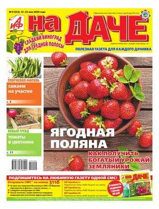 Аиф На даче №9 май 2020