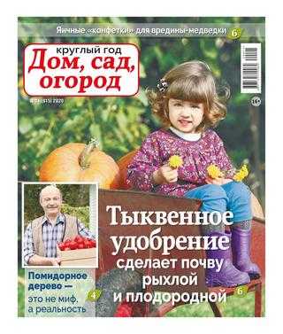 Круглый год Дом сад огород №11 июнь 2020