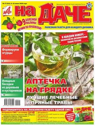 Аиф На даче №11 июнь 2020