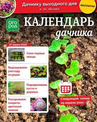 Календарь дачника №8 апрель 2020