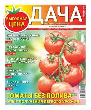 Дача №11 июнь 2020
