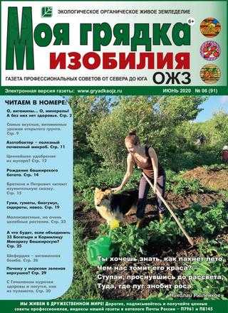 Моя грядка изобилия №6 июнь 2020