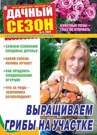Дачный сезон №8 август 2020