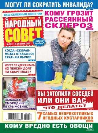 Народный совет №29 июль 2020