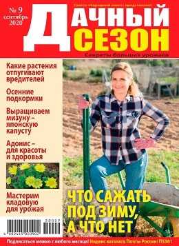 Дачный сезон №9 сентябрь 2020