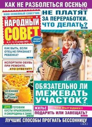 Народный совет №41 октябрь 2020
