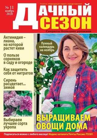 Дачный сезон №11 ноябрь 2020