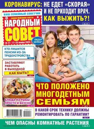 Народный совет №47 ноябрь 2020