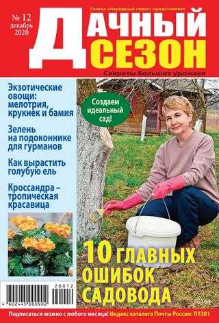 Дачный сезон №12 декабрь 2020