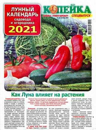 Копейка Спецвыпуск №10 октябрь 2020