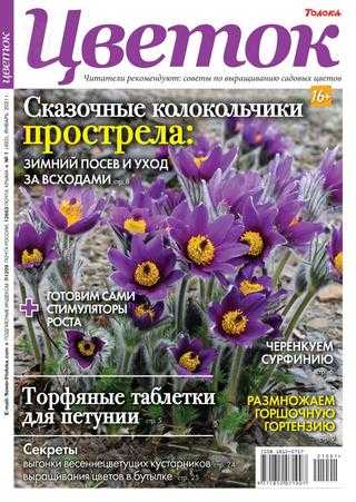 Цветок №1 январь 2021