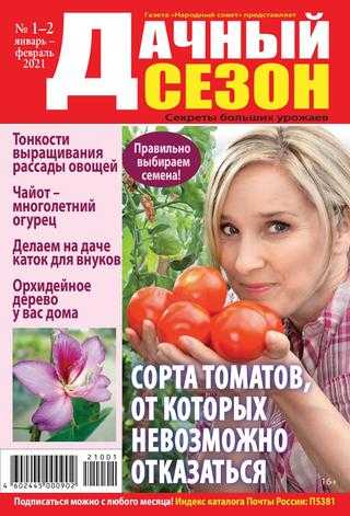 Дачный сезон №1-2 январь февраль 2021