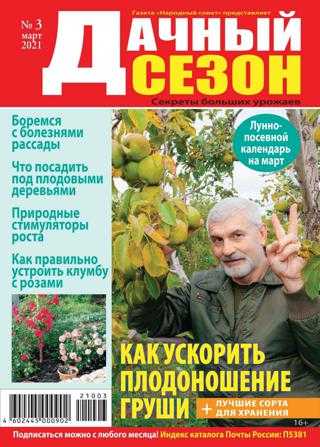 Дачный сезон №3 март 2021