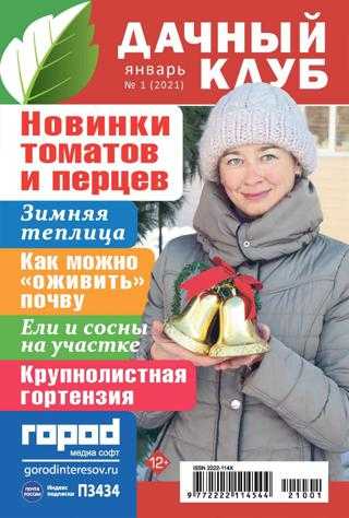 Дачный клуб №1 январь 2021
