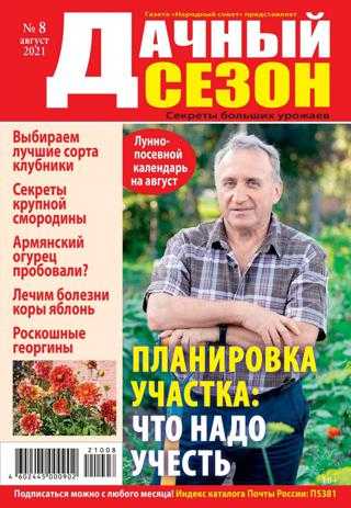 Дачный сезон №8 август 2021