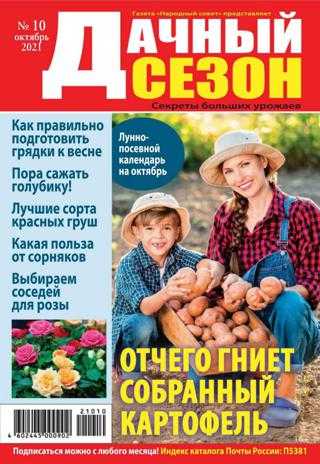 Дачный сезон №10 октябрь 2021