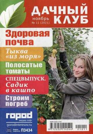 Дачный клуб №11 ноябрь 2021