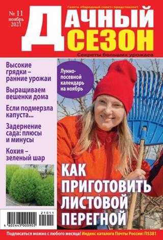 Дачный сезон №11 ноябрь 2021