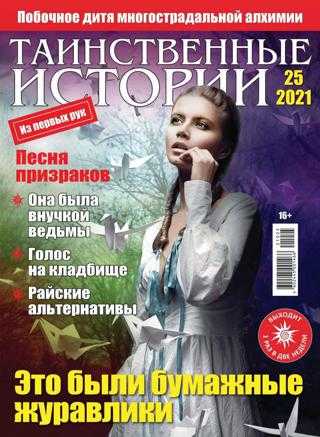 Таинственные истории №25 декабрь 2021