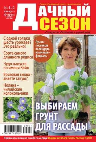Дачный сезон №1-2 январь февраль 2022