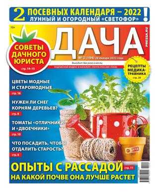 Дача №2 январь 2022