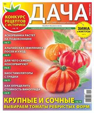 Дача №1 январь 2022