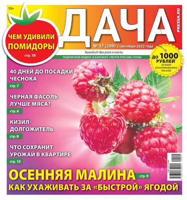 Дача №17 сентябрь 2022