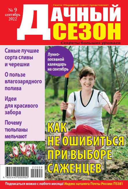 Дачный сезон №9 сентябрь 2022