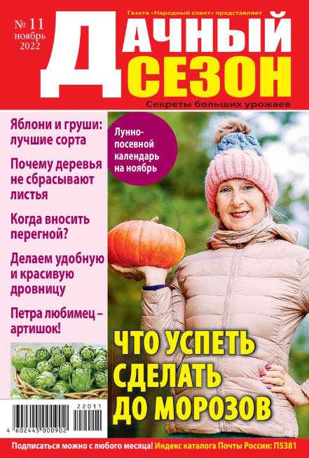 Дачный сезон №11 ноябрь 2022