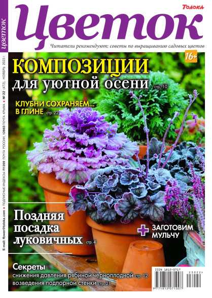 Топ-10 журналов по саду и огороду