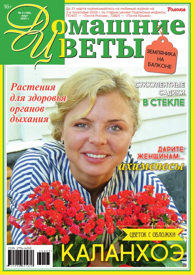 Цветок №20 / » Журналы Онлайн на сайте бородино-молодежка.рф