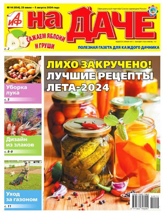 Аиф На даче №14 июль 2024