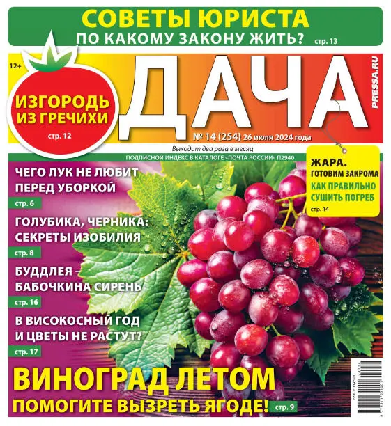 Дача №14 июль 2024