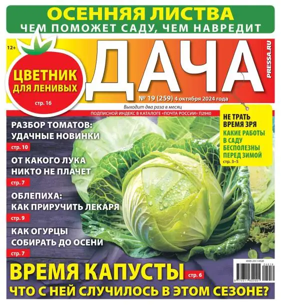 Дача №19 октябрь 2024