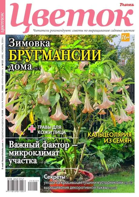 Цветок №22 ноябрь 2024