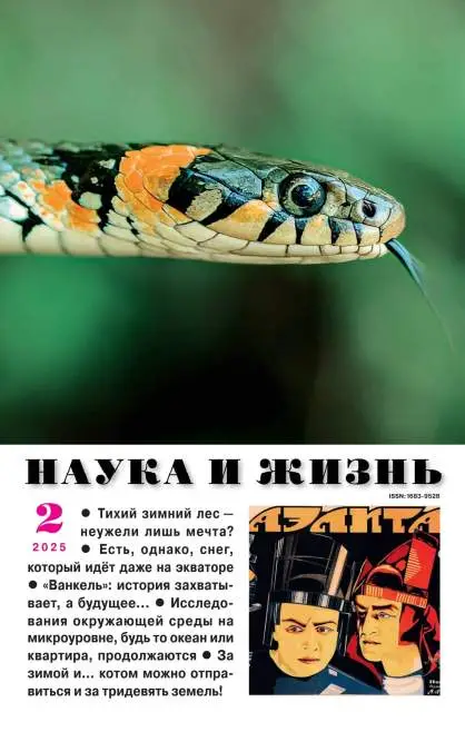 Наука и жизнь №2 февраль 2025