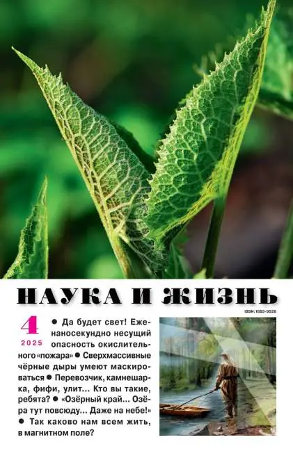 Наука и жизнь №4 апрель 2025