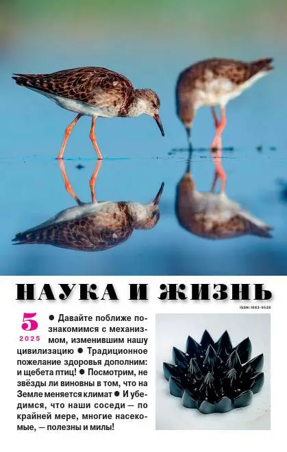 Наука и жизнь №5 май 2025