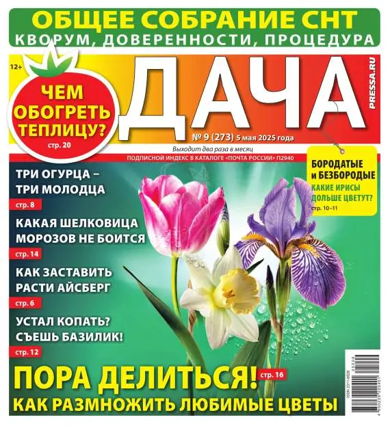 Дача №9 май 2025