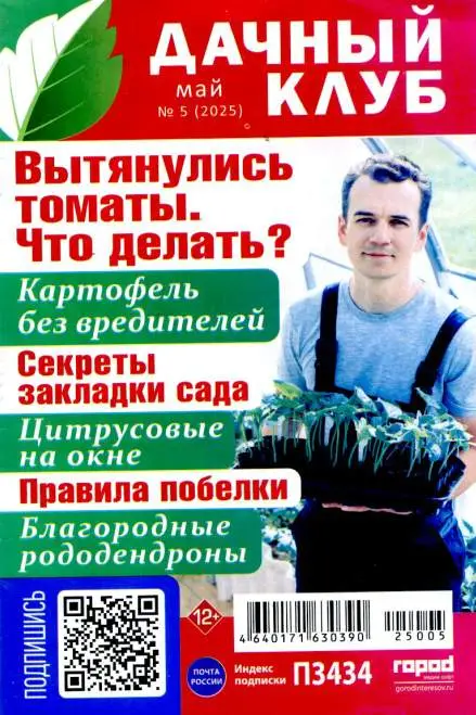 Дачный клуб №5 май 2025