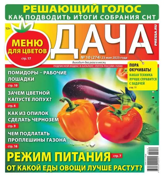 Дача №10 май 2025