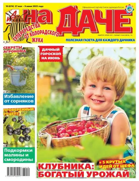 Аиф На даче №10 май июнь 2025