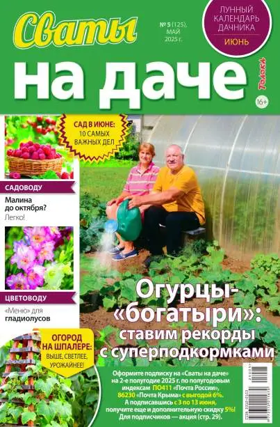 Сваты на даче №5 май 2025