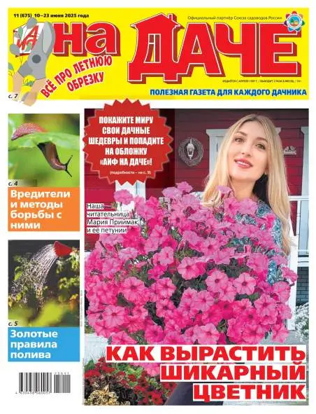 Аиф На даче №11 июнь 2025