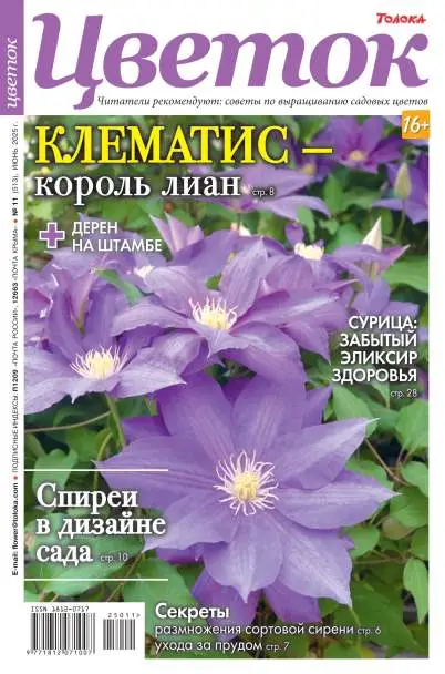Цветок №11 июнь 2005