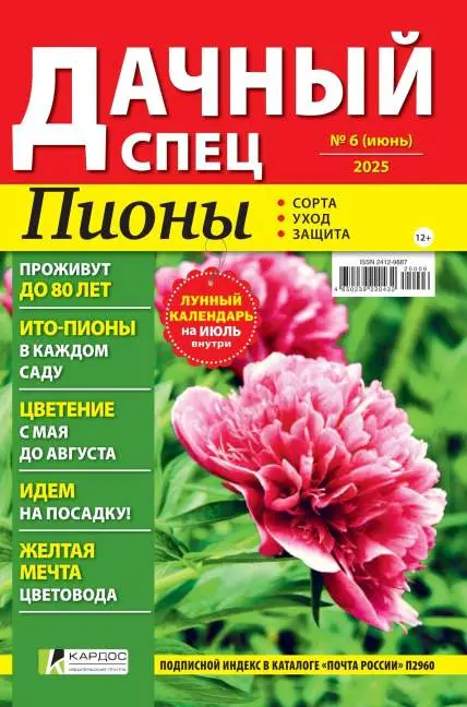 Дачный спец №6 июнь 2025